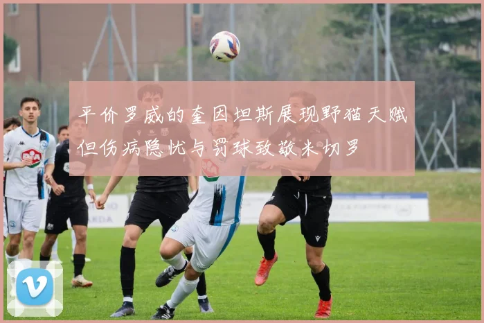 平价罗威的奎因坦斯展现野猫天赋但伤病隐忧与罚球致敬米切罗